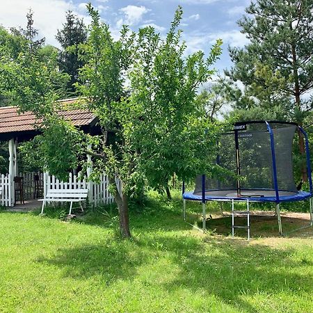 Guesthouse Prachovske Skaly Blata Kültér fotó
