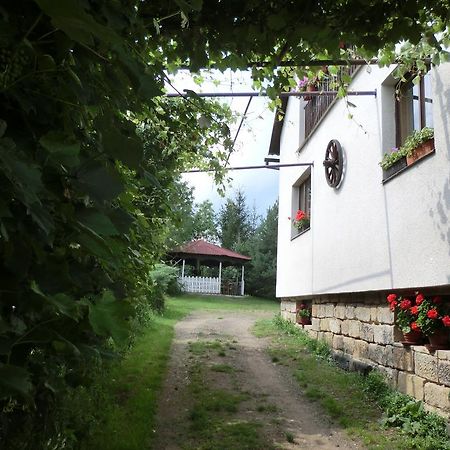 Guesthouse Prachovske Skaly Blata Kültér fotó